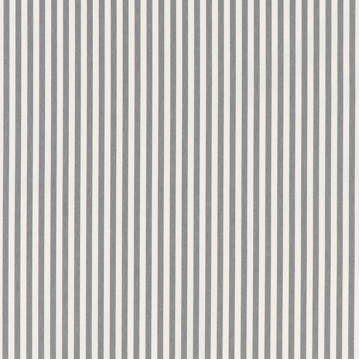 ODEON – coloris Gris brume