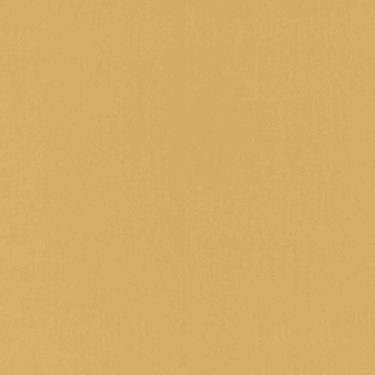 Coloris Coloris jaune dor