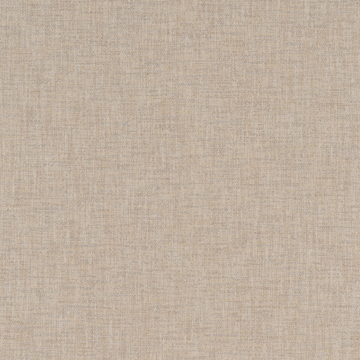 CAMBON – coloris Gingembre