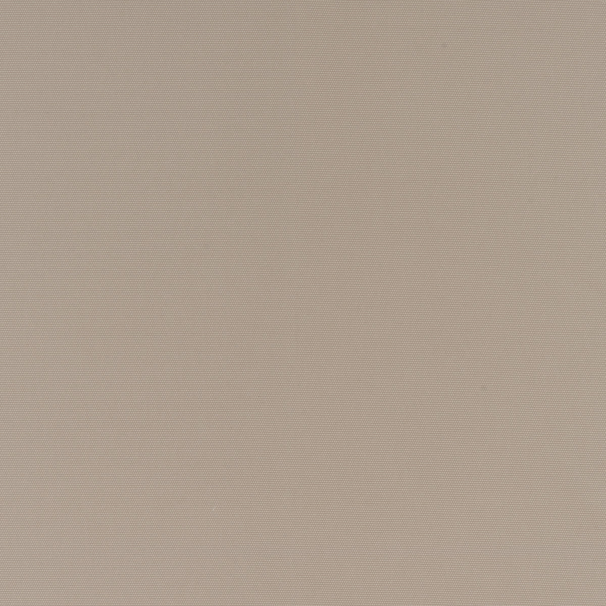 NATHAN – coloris Mastic