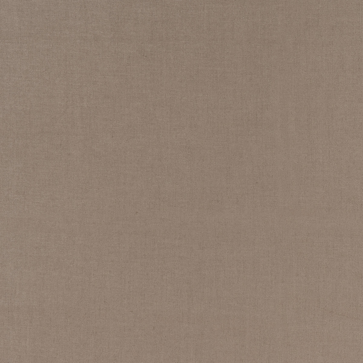 ADRIEN – coloris Noix