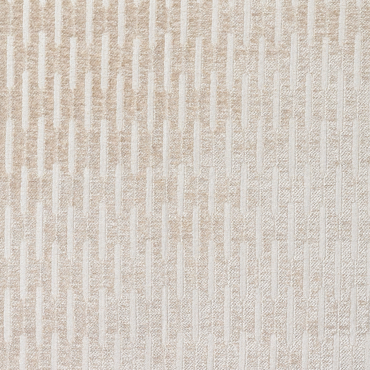 COYLE – coloris Craie