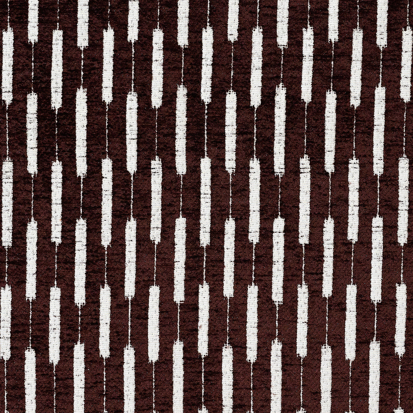 COYLE – coloris Chocolat