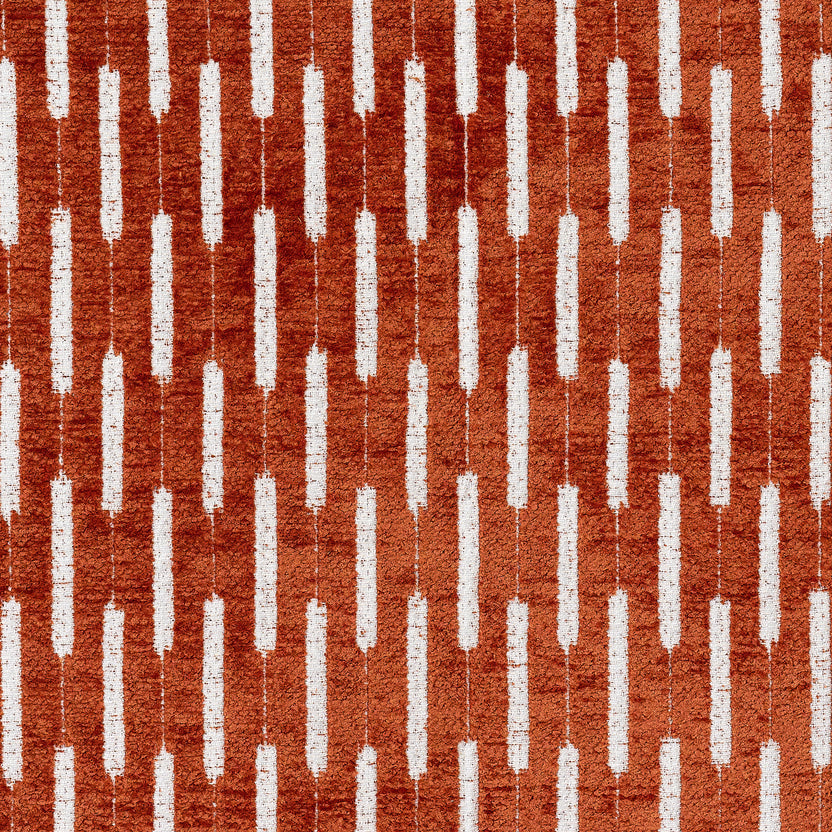 COYLE – coloris Orange