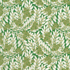 MATIN – coloris Vert
