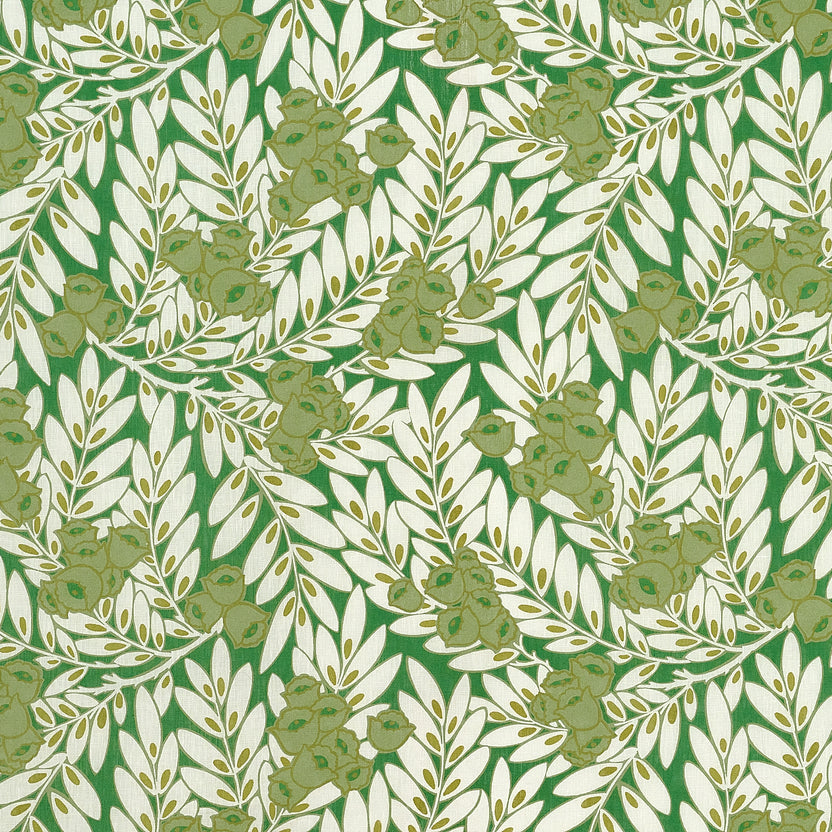 MATIN – coloris Vert