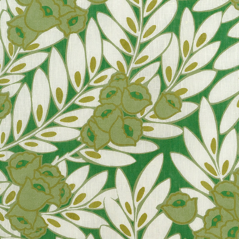 MATIN – coloris Vert
