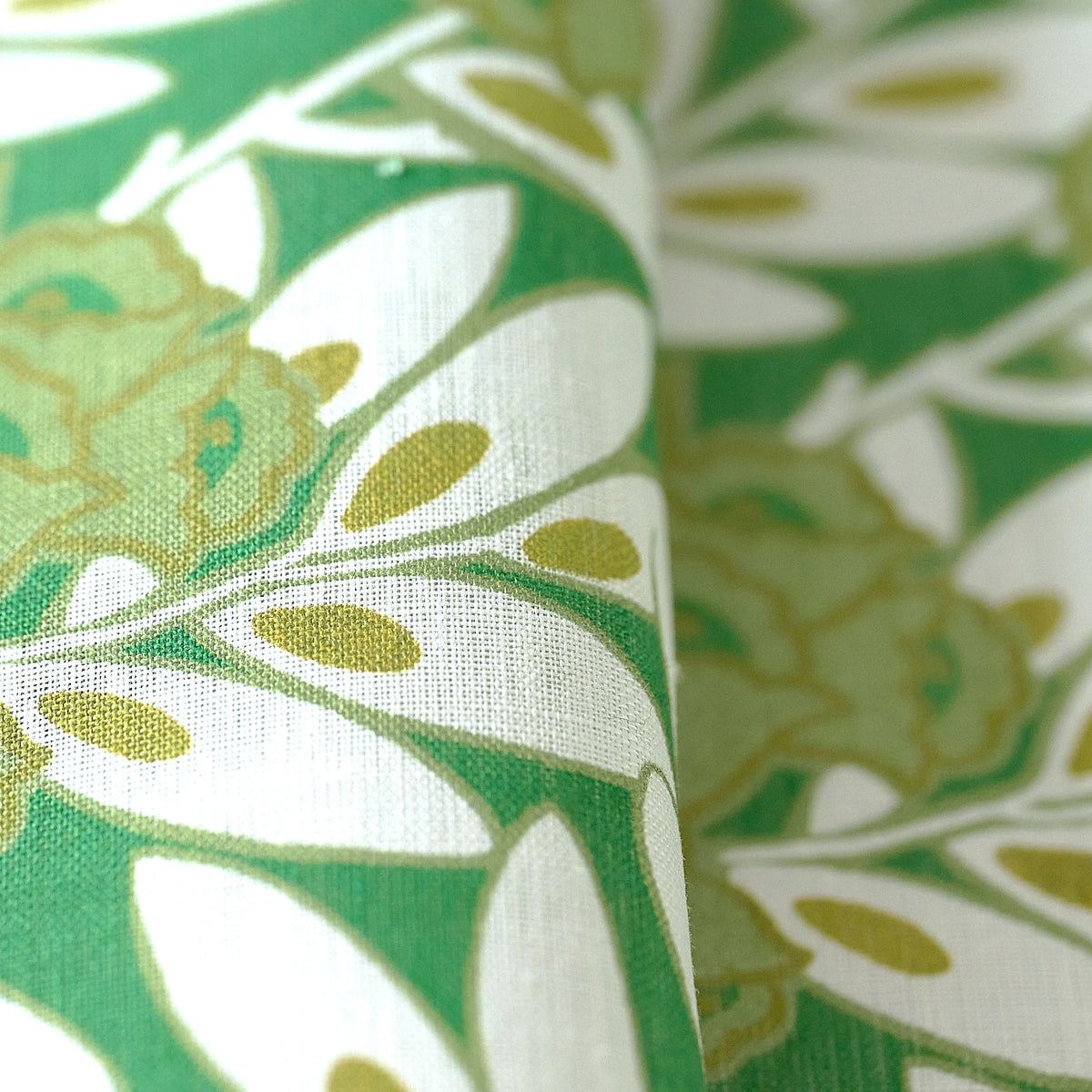 MATIN – coloris Vert