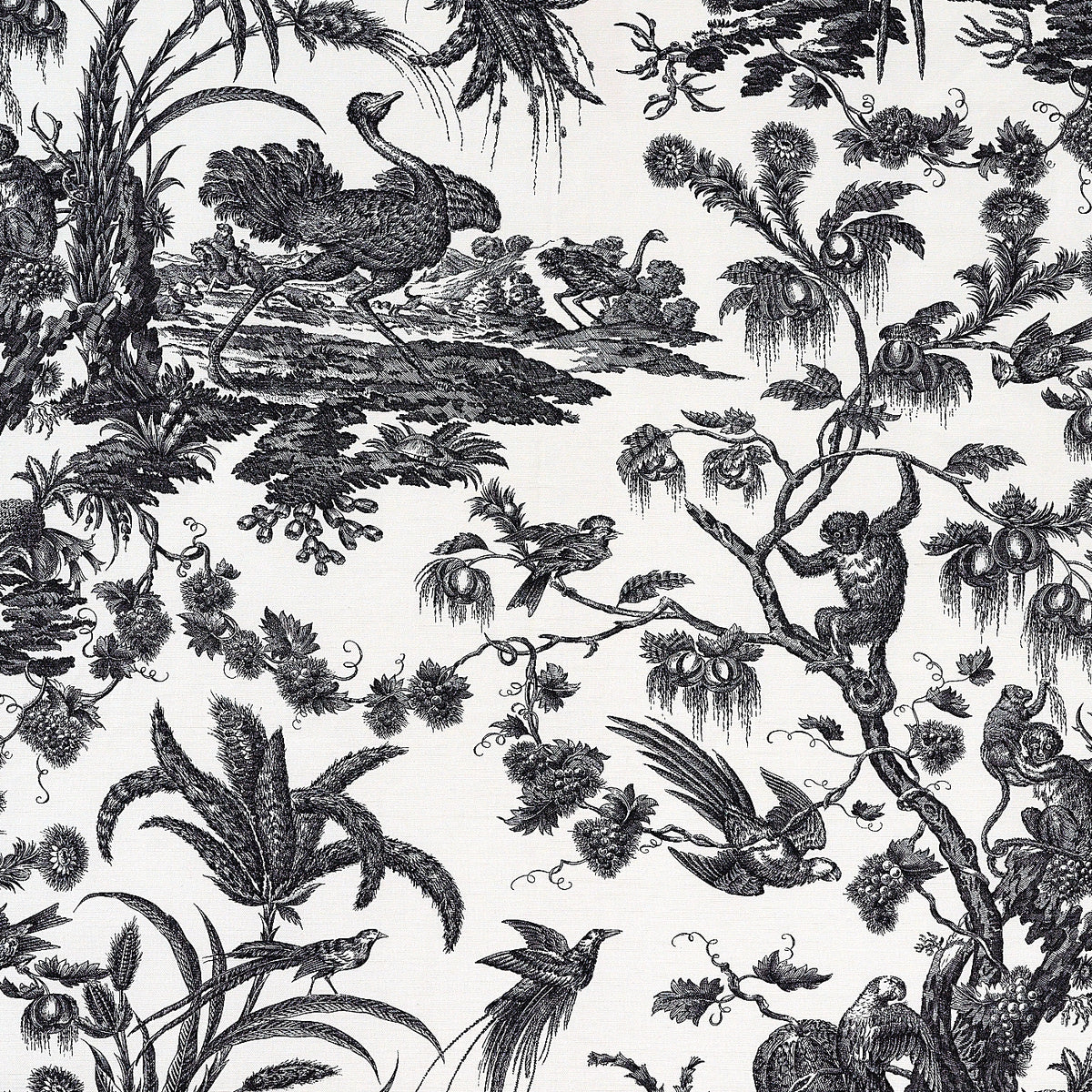 CAPUCIN – coloris Noir
