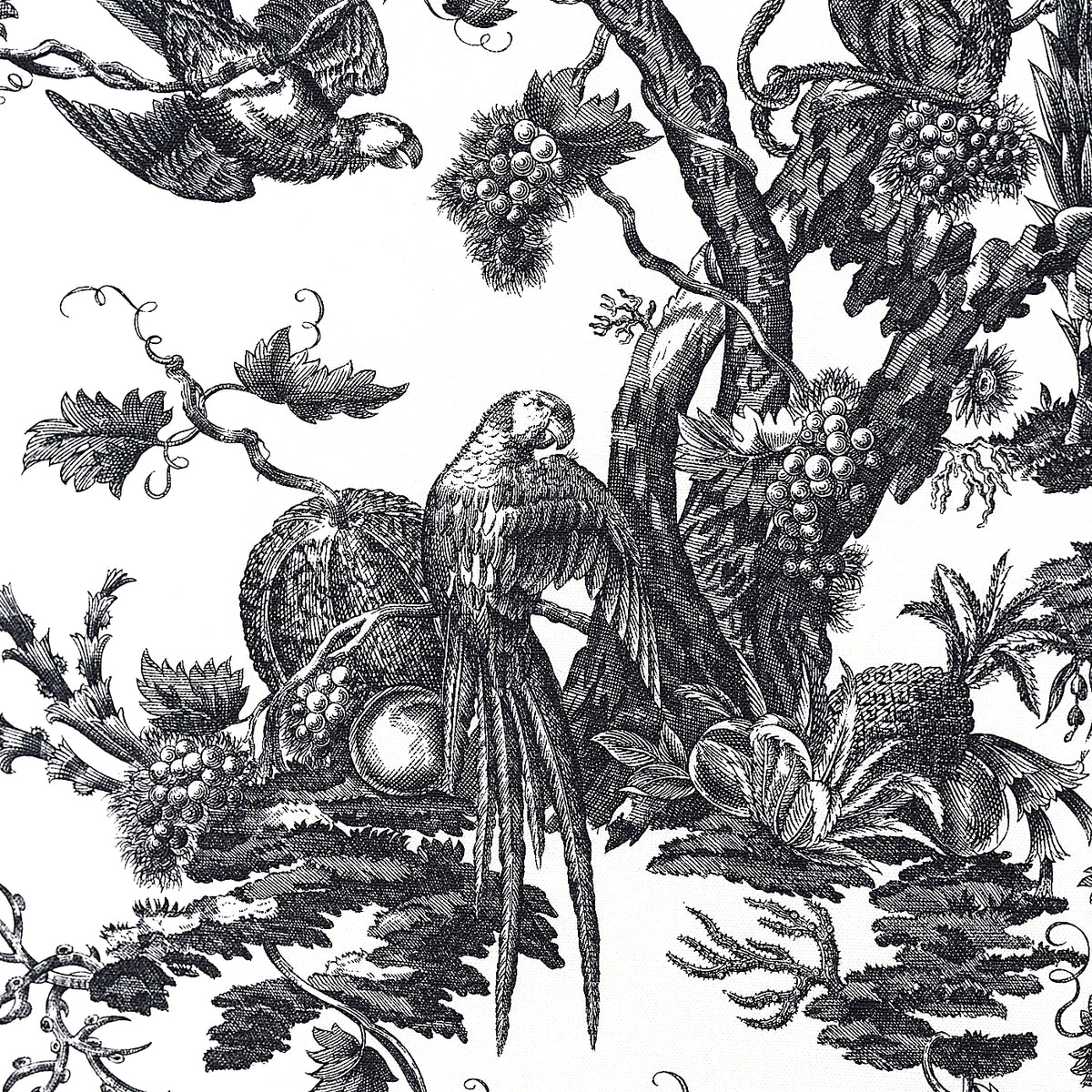 CAPUCIN – coloris Noir