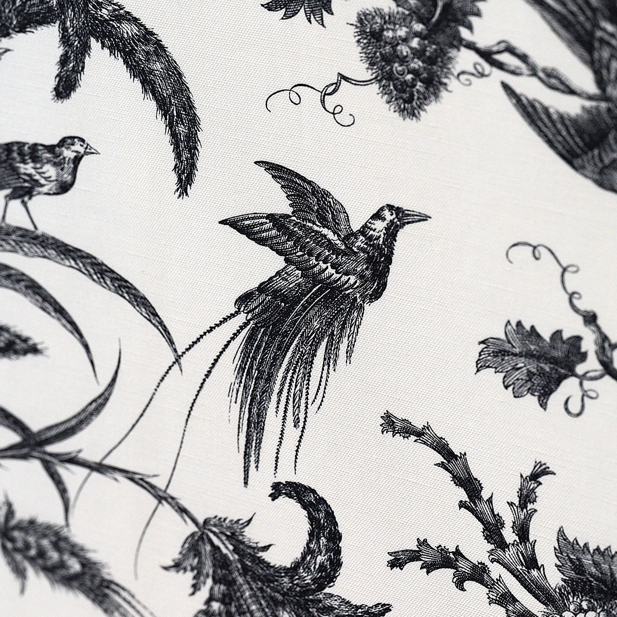 CAPUCIN – coloris Noir