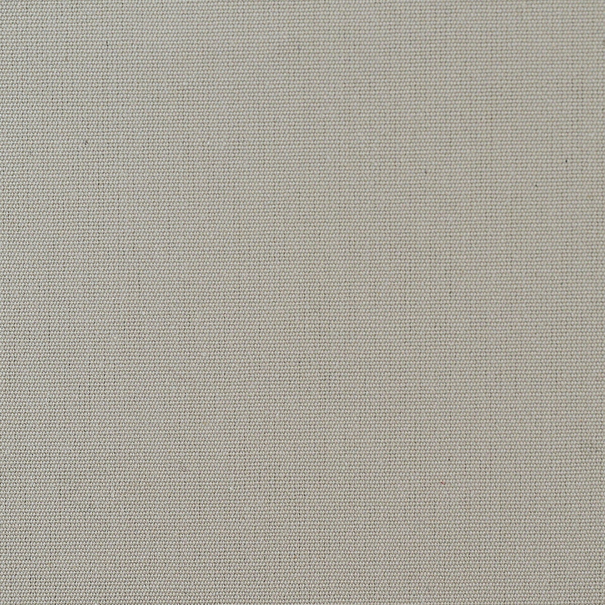 COULEUR ODEON UNI – coloris Naturel